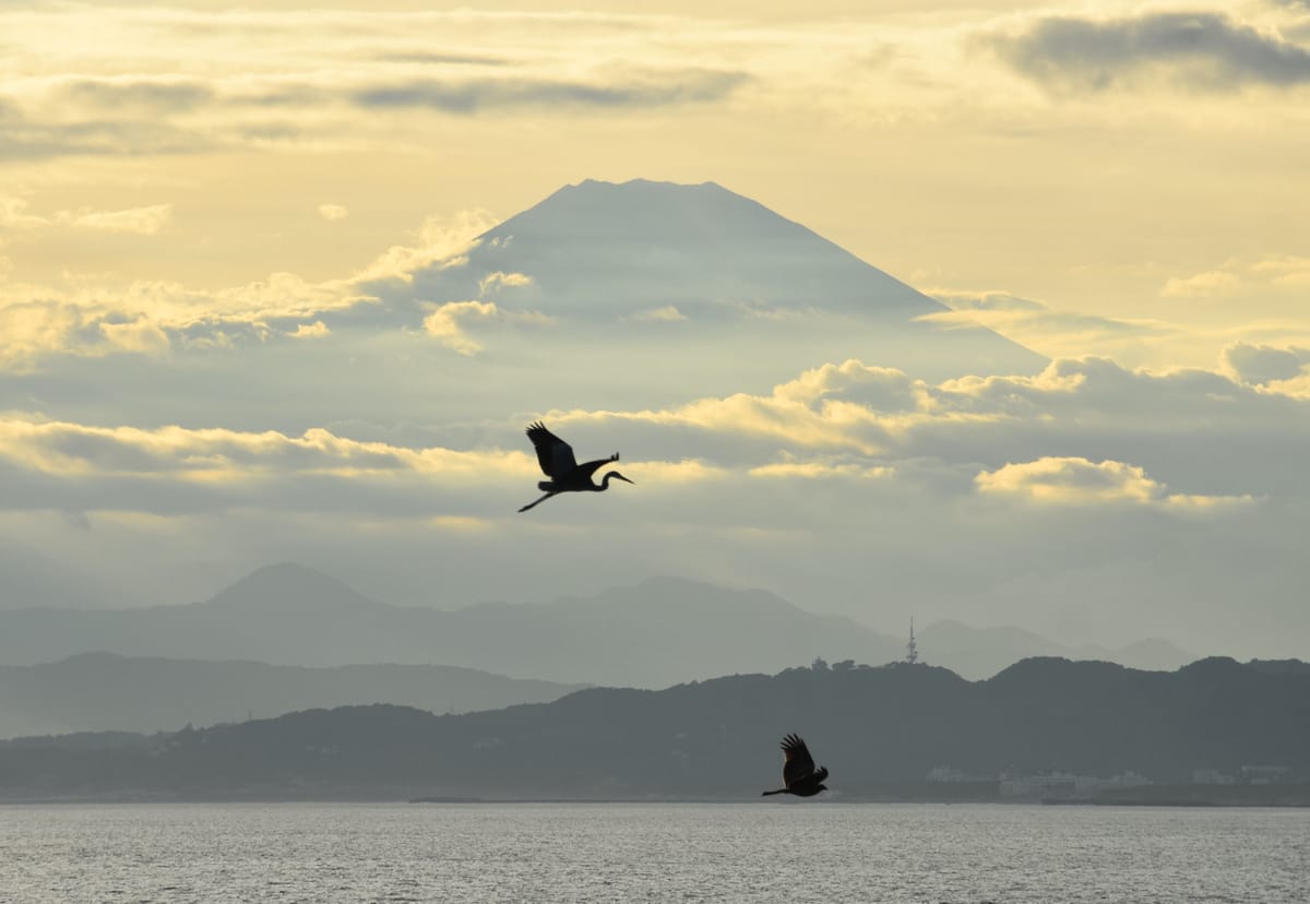 Land of the Rising Sun