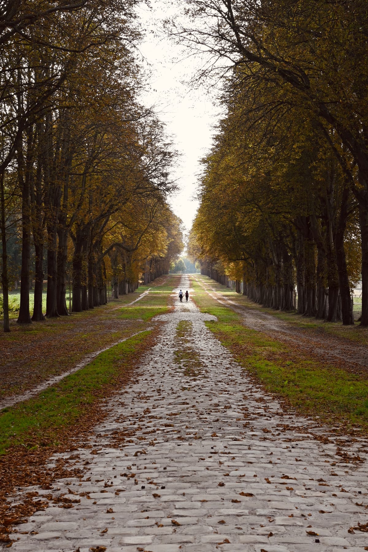 Automne Versaillais